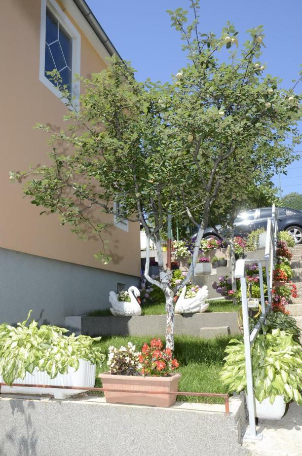 Apartments Lilly Rijeka Zewnętrze zdjęcie